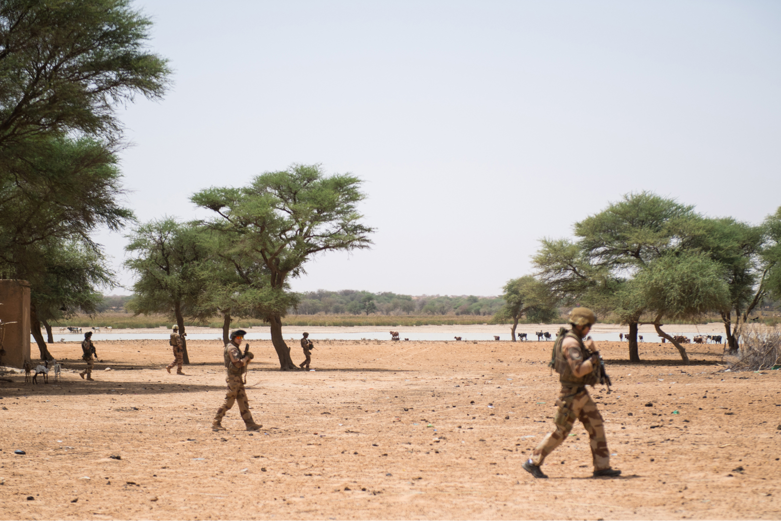 guerre-expliquee-aux-enfants